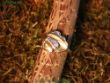 Nr:5931,05 - Ring aus 333gg mit Diamanten - Ringgröße 54